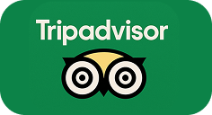 Tripadvisor logo sa simbolom sove na zelenoj pozadini.